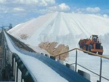 Cold resistant conveyor belt